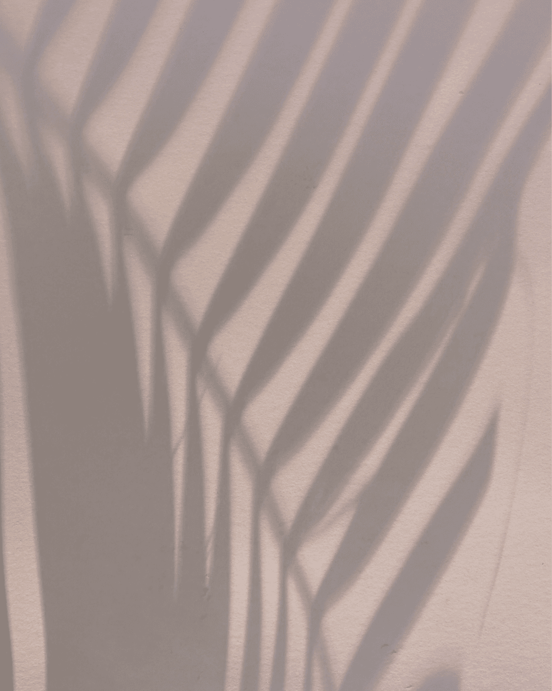 ISA Changes in the Budget: What Women Need to Know