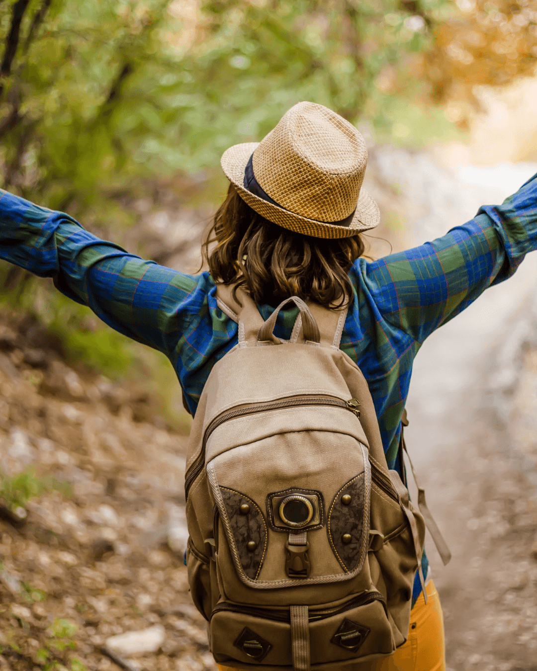 Understanding Your Pension: A Beginner's Guide